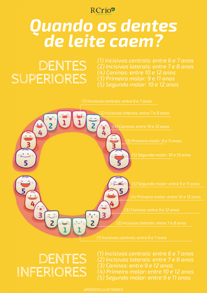 quando o dente de leite cai