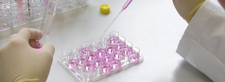 Meio de Cultivo para Células-Troco