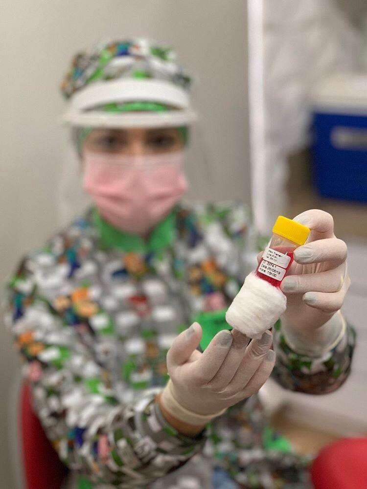 meio de cultura dentista células-tronco