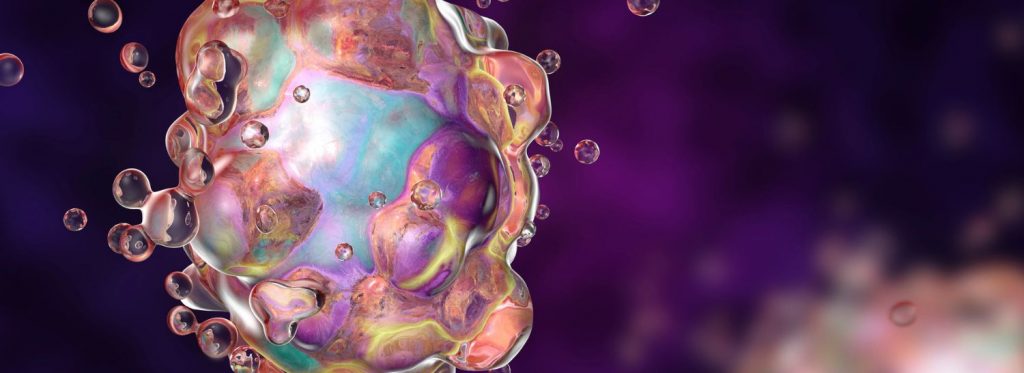 células-tronco inflamação