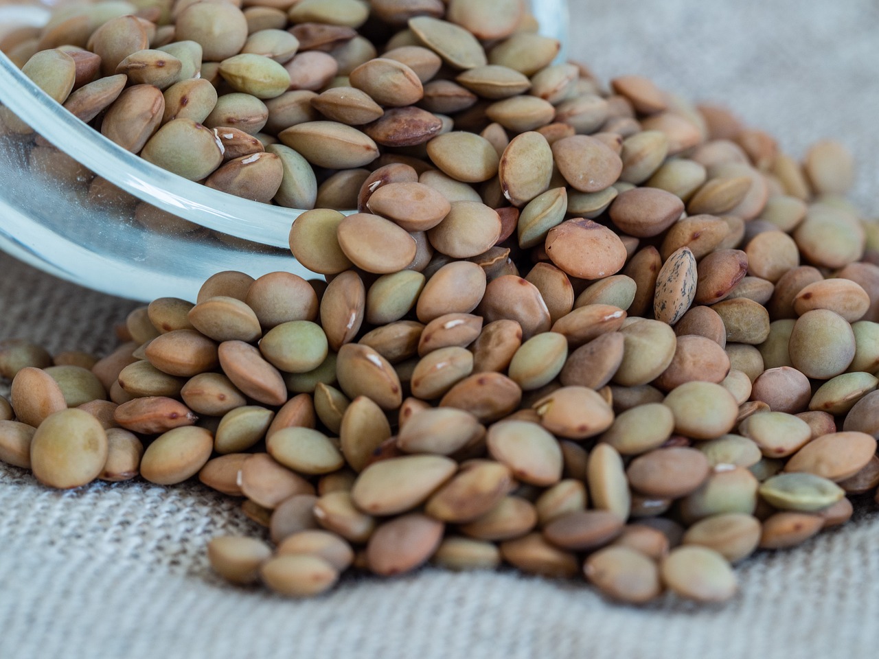 alimentação antioxidante