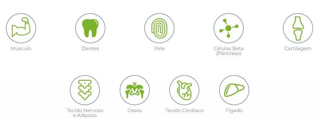 tipos de células-tronco r-crio