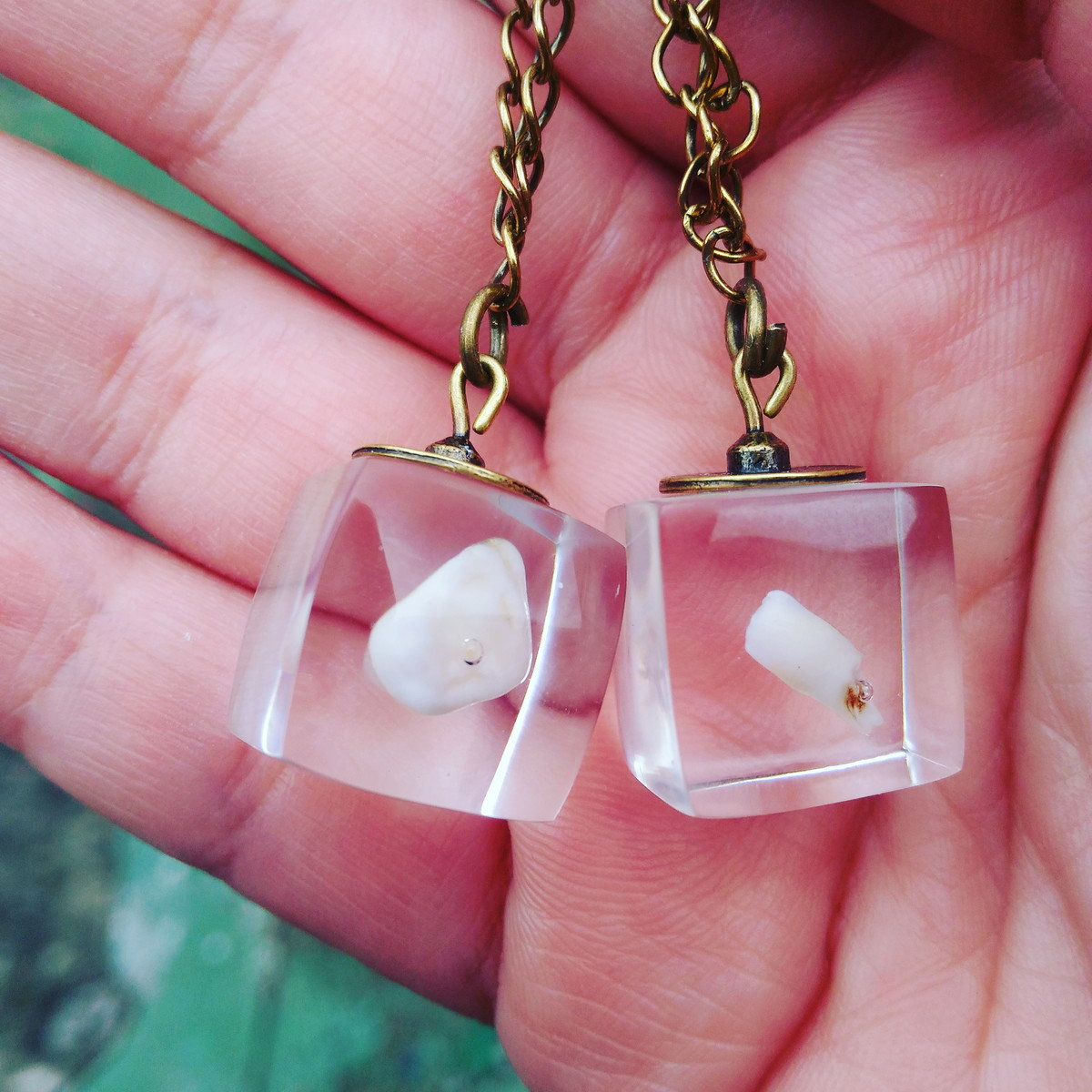 dente de leite guardado