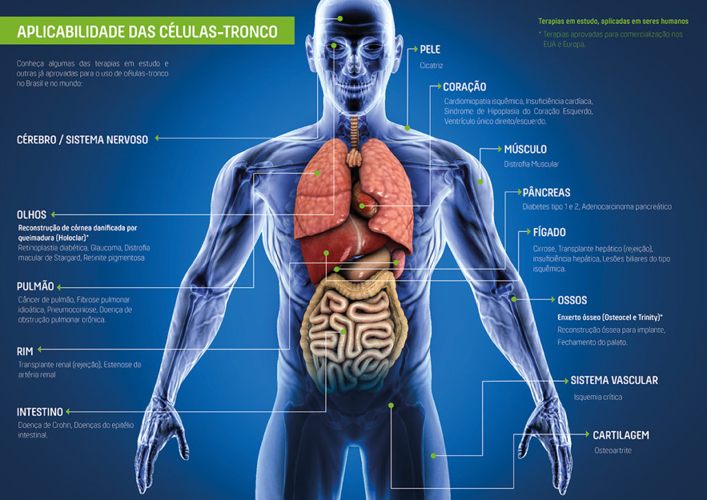 coleta e armazenamento de células-tronco
