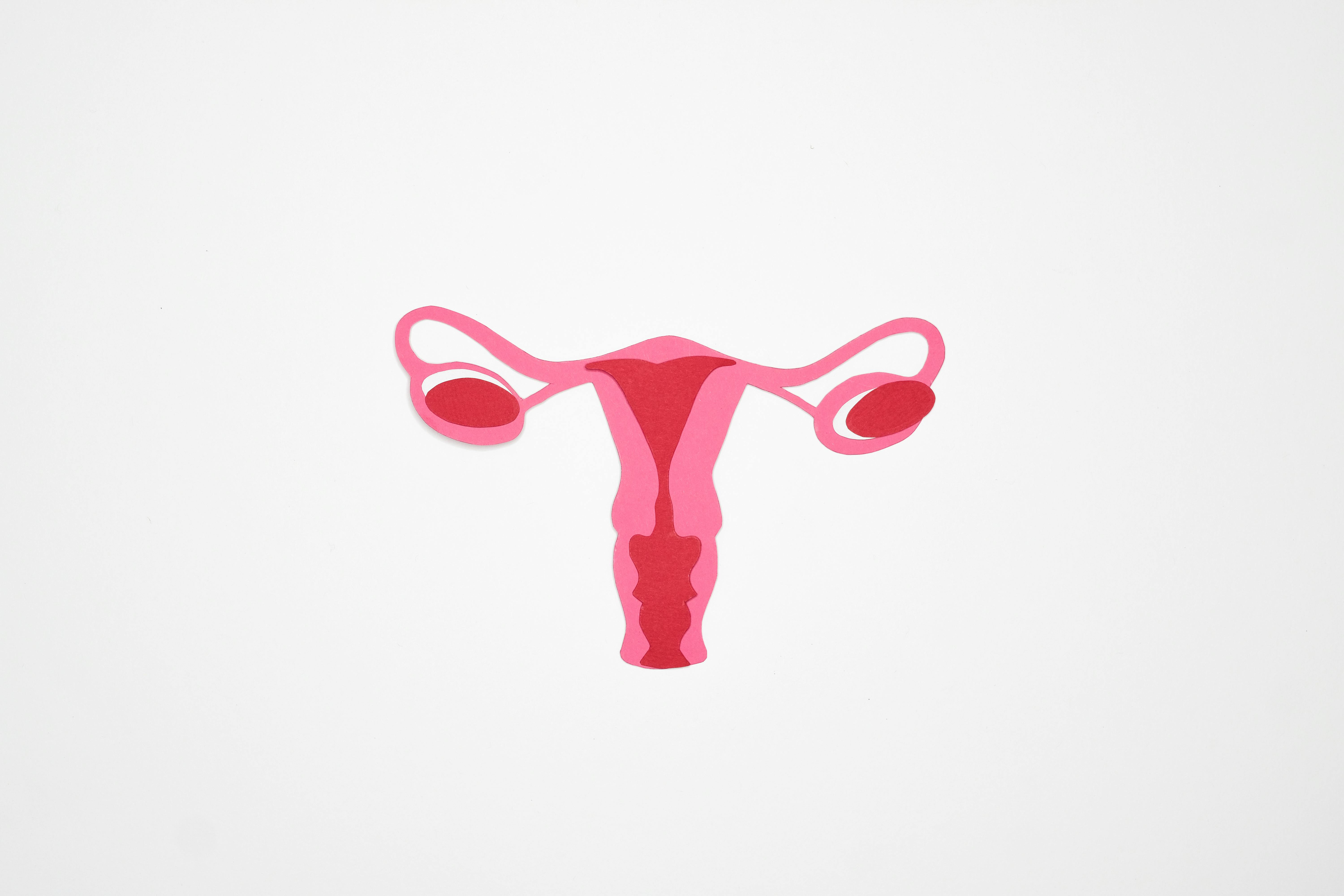 Mudanças hormonais após os 40 anos