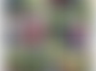 REALIZAN ACCIONES DE SALUD Y LIMPIEZA EN VILLA UNIÓN