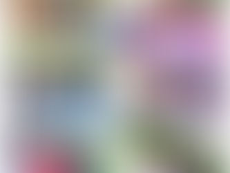 TODO UN ÉXITO LA EXPO KIDS 2025 EN MORELOS