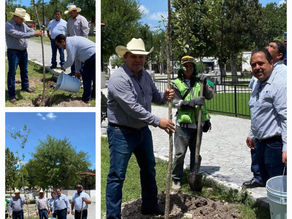 INICIAN TRABAJOS DE REFORESTACIÓN EN LA PLAZA PRINCIPAL DE VILLA UNIÓN