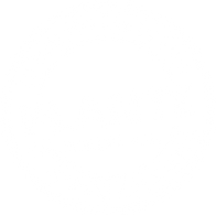 plante1.png