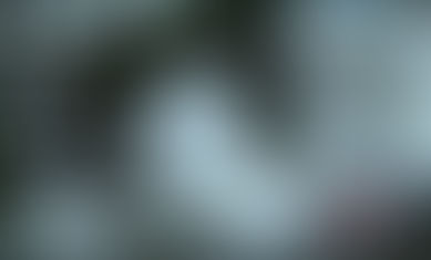 Esma Agolli  “Artiste e Merituar”  aktore e mirënjohur shqiptare,në teatër dhe kinematografi