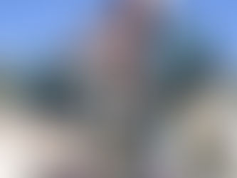 “Arbëreshja ime”, Ilir Shaqiri publikon këngën dedikuar arbëreshëve