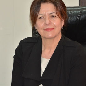 Mimoza Hafizi Prof ne Universitet, Francë dhe Itali, Autore e disa librave Drejtuese ekzekut