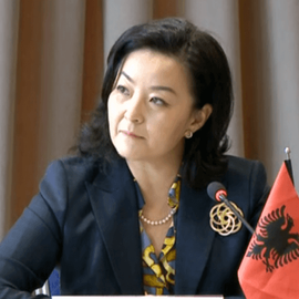 3 prioritetet e ambasadores/ Kim: Thellimi i marrëdhënies në fushën e mbrojtjes, aspirata europiane 