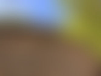 Mauerkrone Barmelweidstrasse