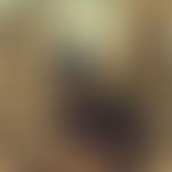 Home sweet home (Année 1 jour 75)