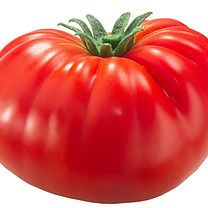 Tomatoe licensed1 (1).jpeg