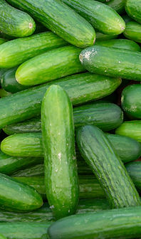 Cucumbers licensed.jpeg