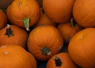 Pumpkins Licensed.jpeg