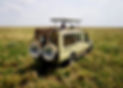 b7db95f7-6dbe-45ab-96ee-c5598bca2dba_edited.jpg