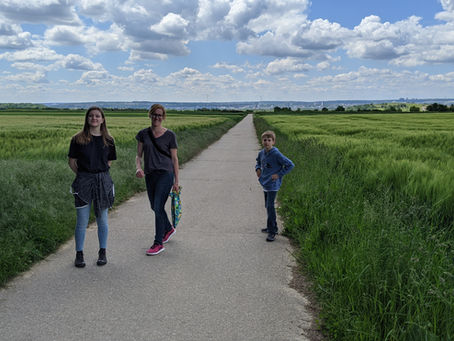 You can walk to Mainz (but no one recommends it)
