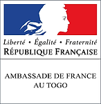 logo ambassade france.png