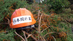 DCIM5656
