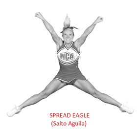 Spread Eagle