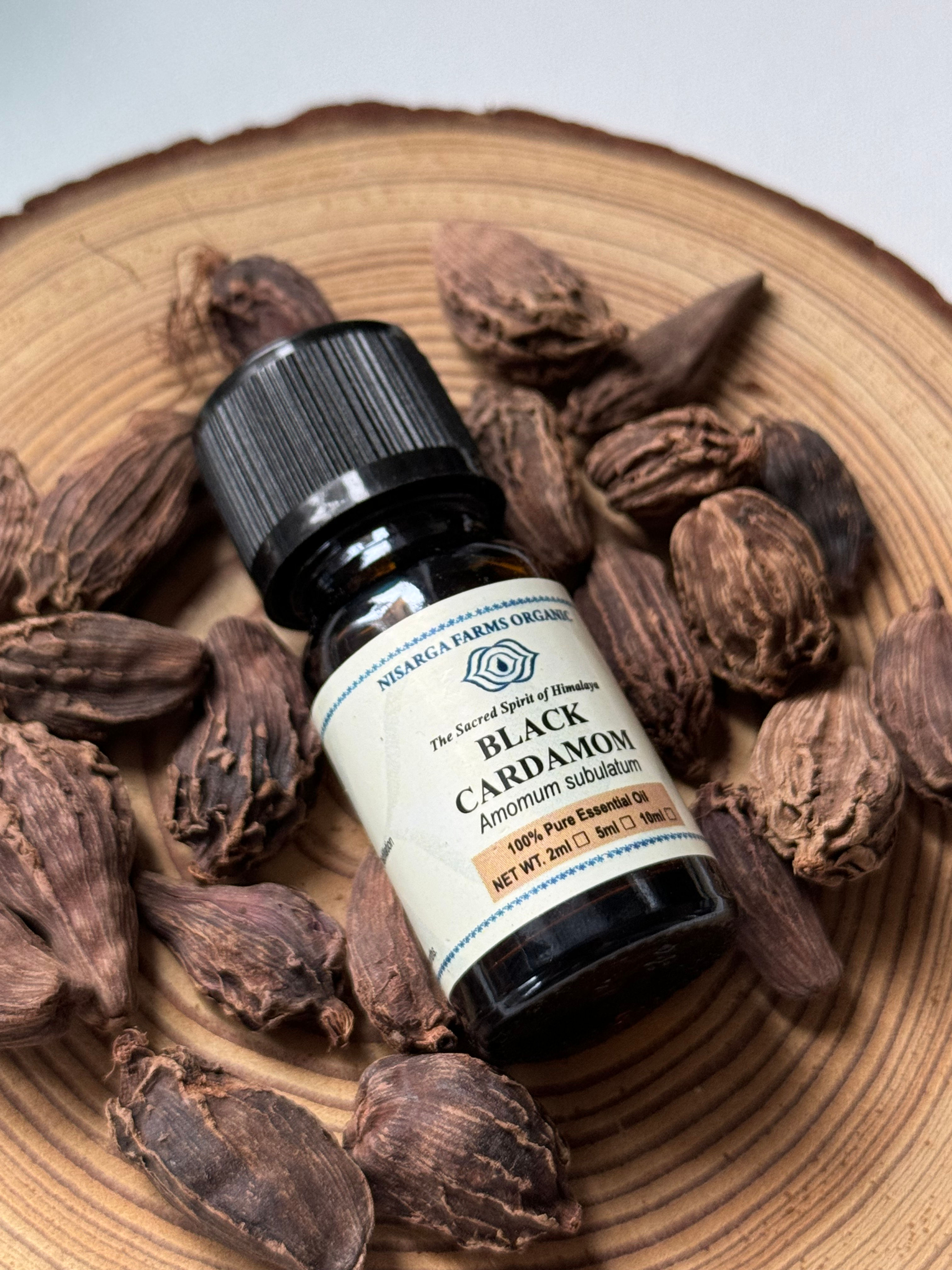 Black Cardamom Oil