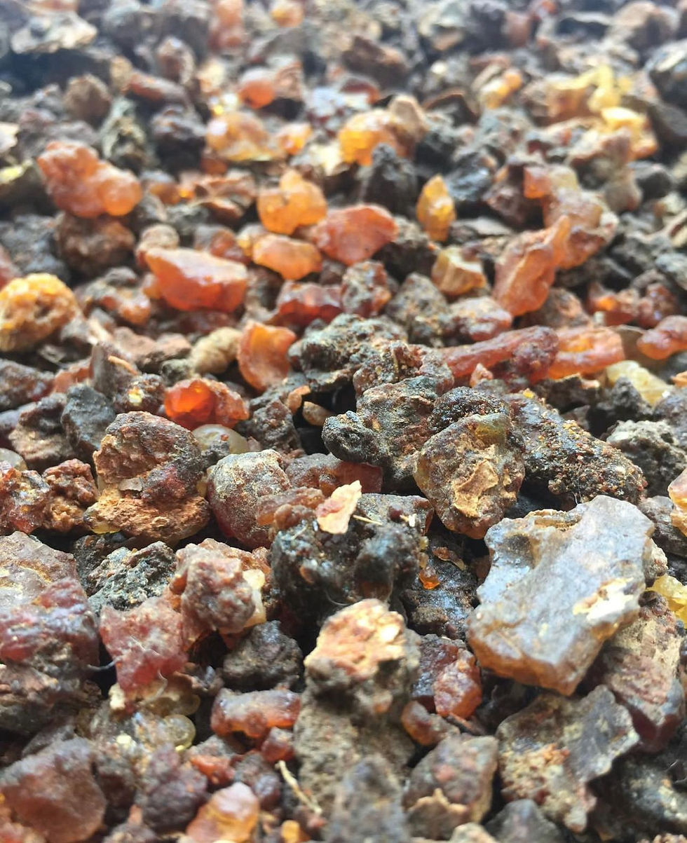 Myrrh Essential Oil