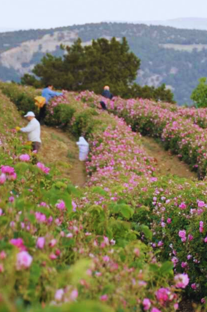 nature destinations collections