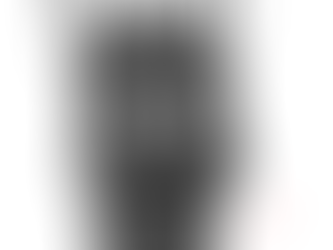 Dog head - a little retouch