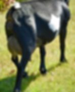 Key Hill MP MostValuablePlaya 2*M 2*P GP84