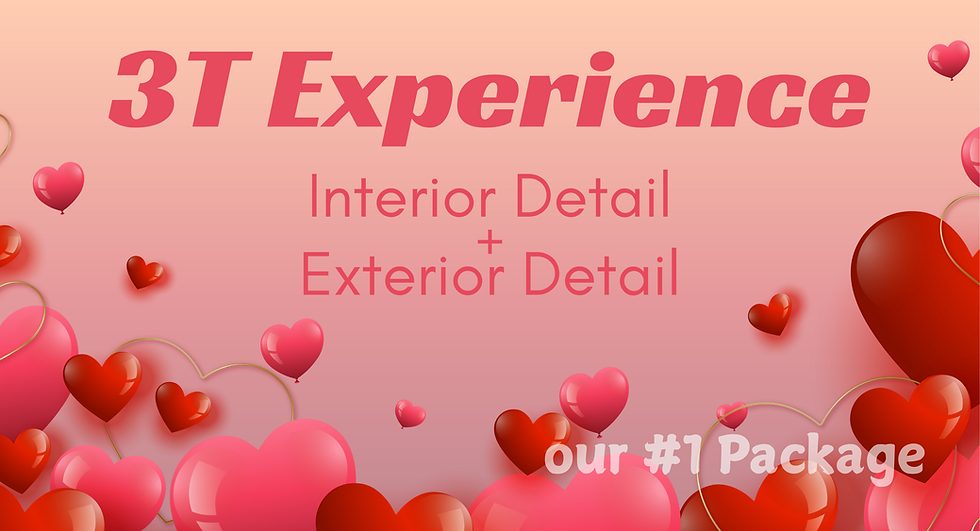 3T Experience Valentines Day Sale.png