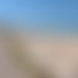 דרושה סוליה