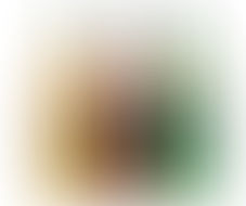 「コラム」小学生時代は