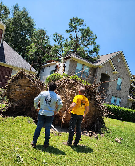 Two tree service workers looking at a tree that fell on a house because of a strom