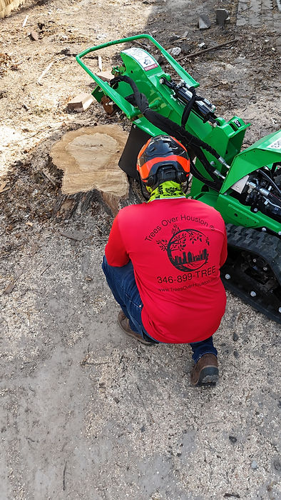 Stump grinding in houston