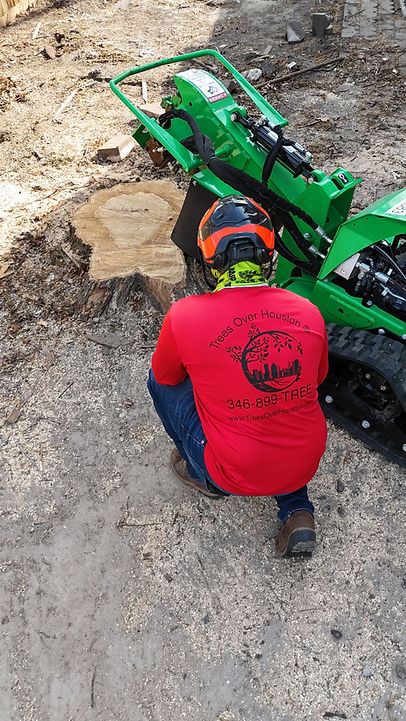Stump grinding in houston
