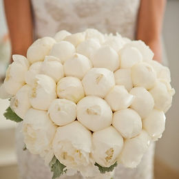 Event Planner: Sofia Crokos Events
