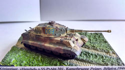 IMG_20170714_120424249_HDR