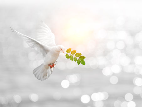 “A Break in the Storm” July Blog Post By: Wendy Aguiar