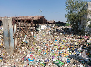 WhatsApp Image 2022-01-18 at 17.06.59 (1).jpeg