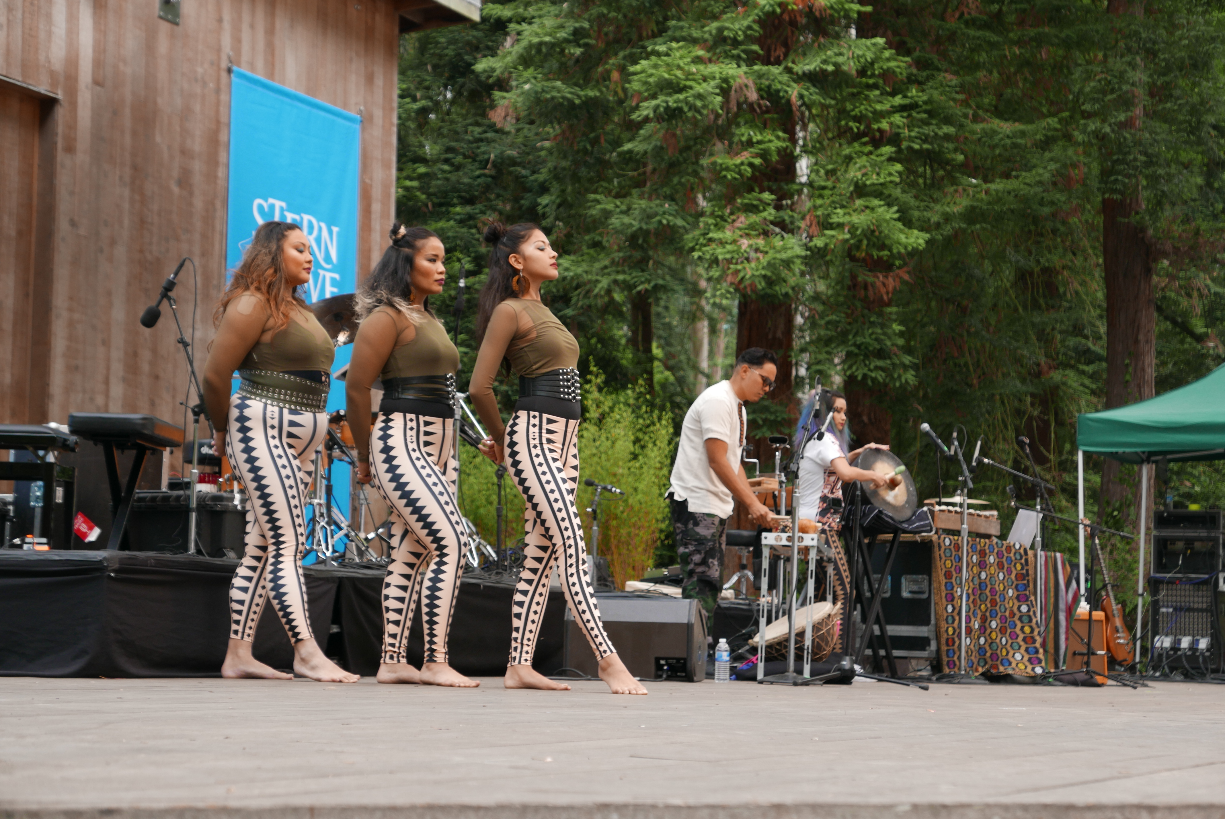 Stern Grove Festival 2018