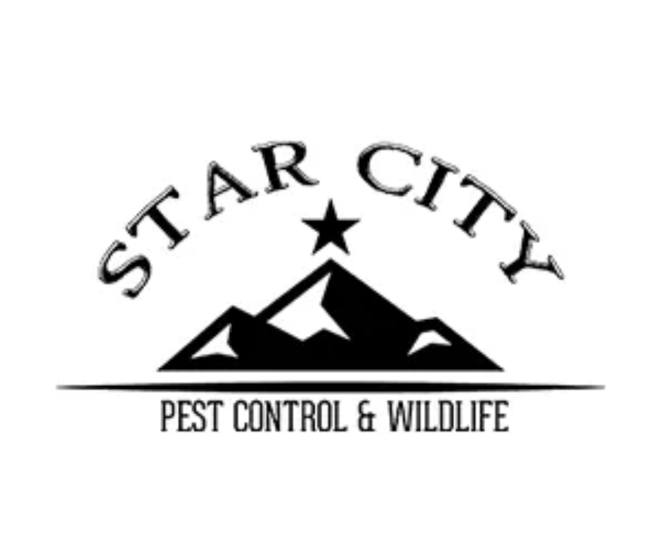 Big Lick Moving Photo Ads (SQUARE) (35).png