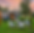 Screenshot 2025-06-16 at 4.14.51 PM.png