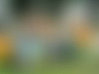 2019 漁港創生暨跨域移動挑戰 第四年-漁味無窮-舢舨船造舟（8分任務）