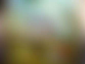 2017行動學習暨跨校移動挑戰第二年-2-5-8區分性AR任務