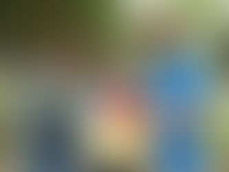 2016行動學習暨跨校移動挑戰-台中公園文史大地遊戲0423