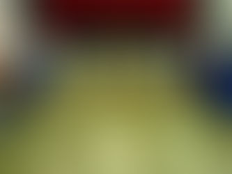 2017年高雄市大榮科展之星