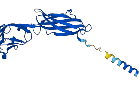 Alphafold and the Modeling of Protein Stucture